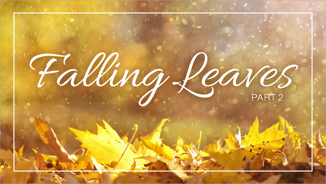 Article Image: falling-leaves-and-falling-asleep-part-2