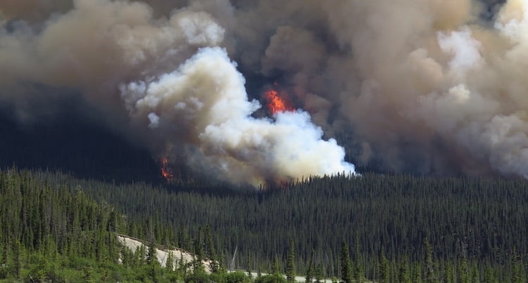 Article Image: wildfires-and-air-quality