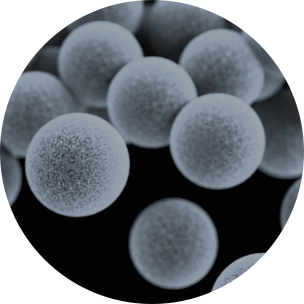 bacteria microscopic